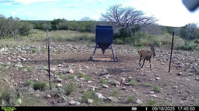 (private lake, pond, creek) Acreage For Sale in Del Rio Texas