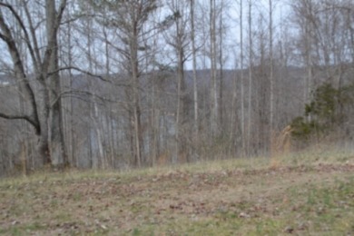 1.03 AC W/ CENTER HILL LAKE, TN & MTNS -- YEAR AROUND VIEW - photo 12