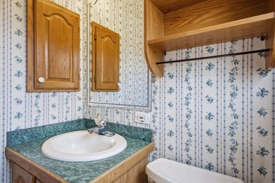 The seller is willing to cover 6 months of lot rent with the - photo 24