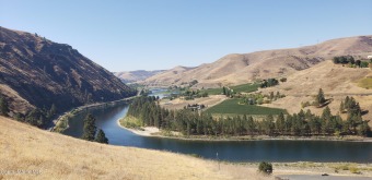 Clearwater River - Nez Perce County Acreage For Sale in Juliaetta Idaho