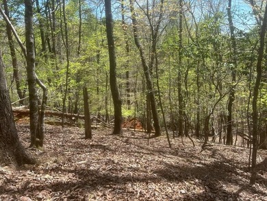 Coosawattee River - Gilmer County Lot For Sale in Ellijay Georgia