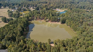 Secluded Brick Ranch Retreat on 20+ Acres with Private Lake & - photo 43