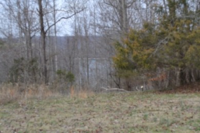 1.03 AC W/ CENTER HILL LAKE, TN & MTNS -- YEAR AROUND VIEW - photo 4