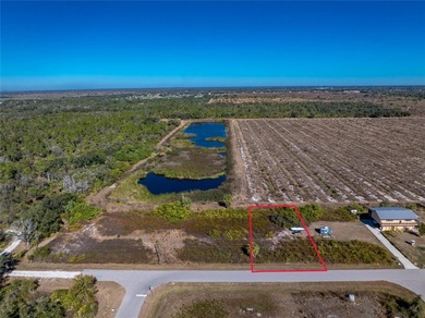 Peace River Lot For Sale in Punta Gorda Florida