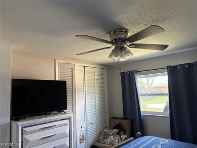 Move-in ready and beautifully updated, this SE Cape Coral home - photo 6