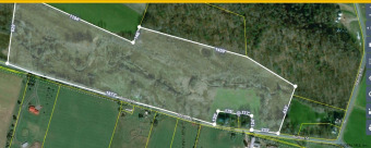 Town of Canajoharie - Gorgeous 31.8 acre parcel of land with - Lake Acreage For Sale in Canajoharie, New York