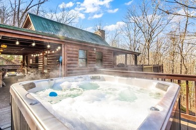 Lake Blue Ridge Home For Sale in Morganton Georgia