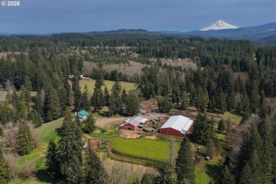 This truly unique property offers a rare combination of acreage - photo 1