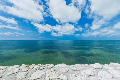 Welcome to an elevated expression of island living at 23 - photo 4