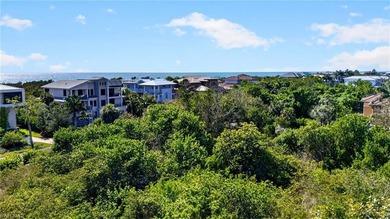 707 Waterside Drive is the best corner lot available within the - photo 5