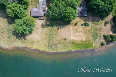 Lake Lot For Sale in Stanwood, Michigan