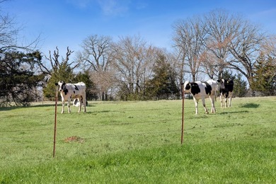 Whether you dream of a working ranch, a family getaway, or - photo 38