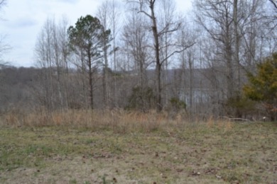 1.03 AC W/ CENTER HILL LAKE, TN & MTNS -- YEAR AROUND VIEW - photo 5