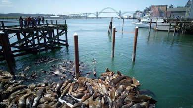 Perched above the Pacific Ocean just moments from Newport's - photo 43