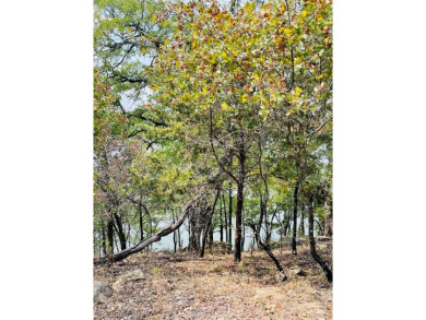 Lake Lot For Sale in Bowie, Texas