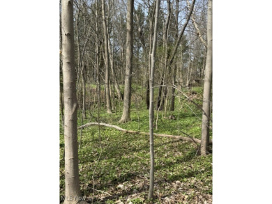 (private lake, pond, creek) Lot For Sale in Chagrin Falls Ohio
