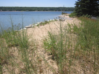 Lake Superior - Alger County Lot For Sale in Grand Marais Michigan