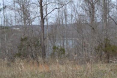 1.03 AC W/ CENTER HILL LAKE, TN & MTNS -- YEAR AROUND VIEW - photo 7