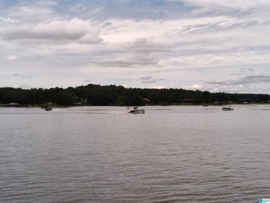 Lake Lot For Sale in Pell City, Alabama