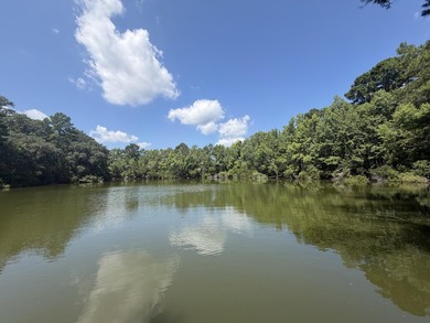 6.19 Acres | Approx. 3-Acre Private Freshwater Lake | 3BR | 2BA - photo 5