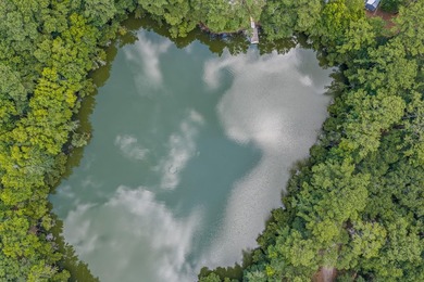 6.19 Acres | Approx. 3-Acre Private Freshwater Lake | 3BR | 2BA - photo 7