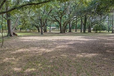 6.19 Acres | Approx. 3-Acre Private Freshwater Lake | 3BR | 2BA - photo 8