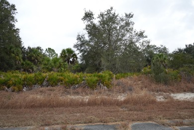 Vacant lot located near freeway access, schools, shopping - photo 2