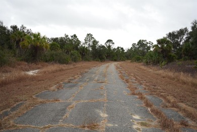 Vacant lot located near freeway access, schools, shopping - photo 3