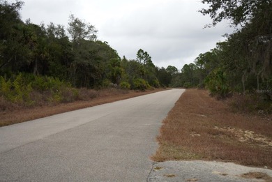 Vacant lot located near freeway access, schools, shopping - photo 6