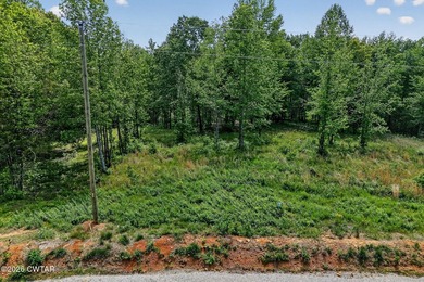 Lakeview lot sitting on approximately 2.5 acres ready for you to - photo 11
