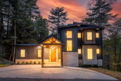 Lake Home For Sale in Cherry Log, Georgia