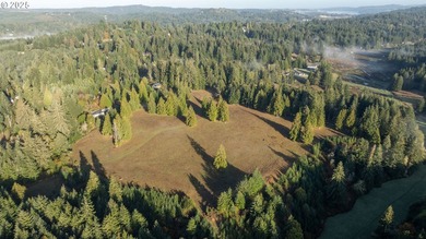Welcome to this exceptional 194.05+acre ranch featuring a - photo 33