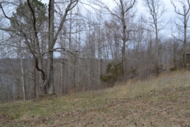 1.03 AC W/ CENTER HILL LAKE, TN & MTNS -- YEAR AROUND VIEW - photo 9