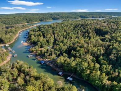 Smith Lake - Dave Wilson Circle, 3 BR, 2 BA, wooded lot, gentle - photo 36