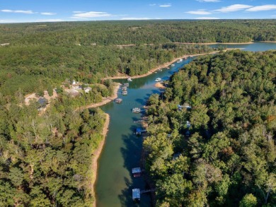 Smith Lake - Dave Wilson Circle, 3 BR, 2 BA, wooded lot, gentle - photo 37