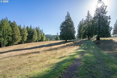 Welcome to this exceptional 194.05+acre ranch featuring a - photo 38