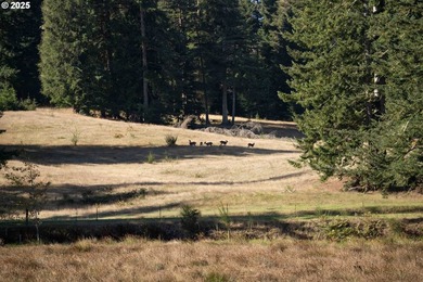 Welcome to this exceptional 194.05+acre ranch featuring a - photo 40