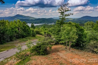 Lake Lure Acreage For Sale in Lake Lure North Carolina
