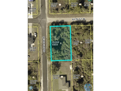 Lehigh Acres Area Lot For Sale in Lehigh Acres Florida