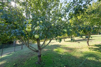 Welcome to this exceptional 194.05+acre ranch featuring a - photo 43
