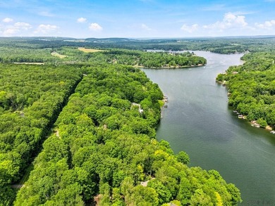 Experience lakefront living at its finest in this beautifully - photo 50