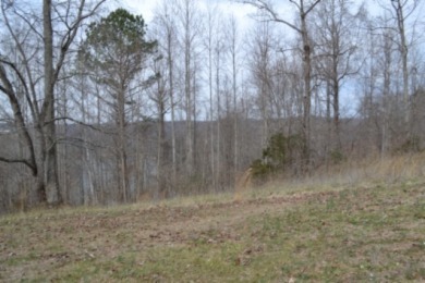 1.03 AC W/ CENTER HILL LAKE, TN & MTNS -- YEAR AROUND VIEW - photo 16