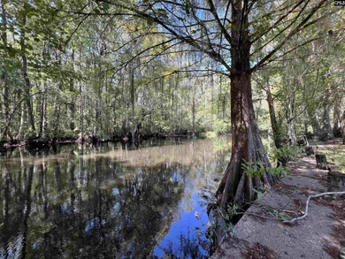 (private lake, pond, creek) Acreage For Sale in Orangeburg South Carolina