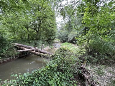 If you've been searching for a manageable hunting property with - photo 11