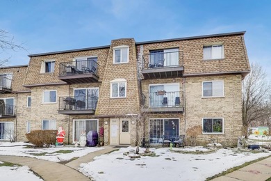 (private lake, pond, creek) Condo For Sale in Des Plaines Illinois