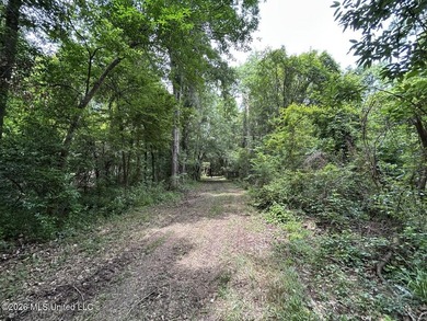 If you've been searching for a manageable hunting property with - photo 12