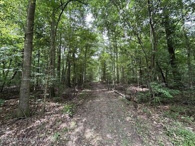 If you've been searching for a manageable hunting property with - photo 13