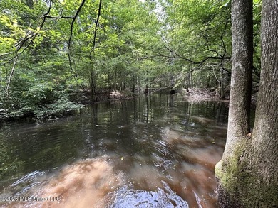 If you've been searching for a manageable hunting property with - photo 14