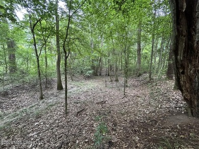 If you've been searching for a manageable hunting property with - photo 16