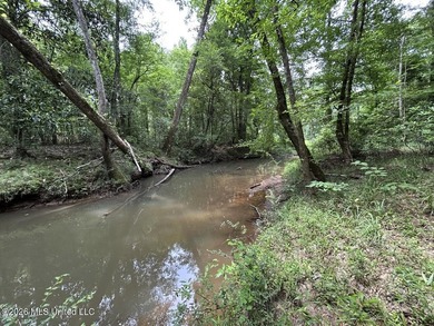 If you've been searching for a manageable hunting property with - photo 18